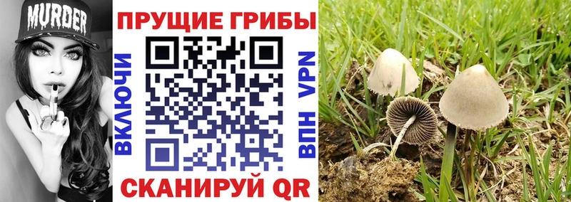 Галлюциногенные грибы GOLDEN TEACHER  hydra tor  Таруса 